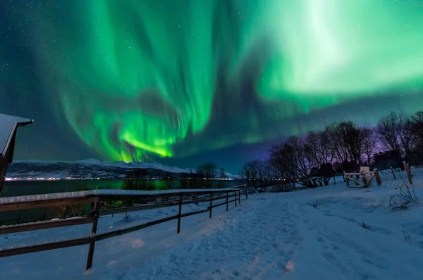 Ártico Polar Luzes Norte Aurora Borealis Céu Estrela Escandinávia Noruega — Fotografia de Stock