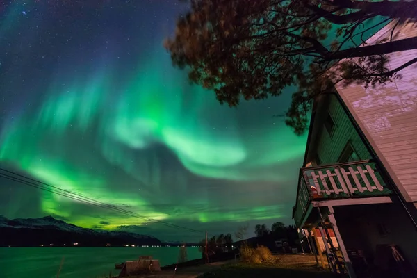 Skandinavya Norveç Tromso Çiftlik Kış Ormandaki Kutup Kutup Kuzey Işıkları — Stok fotoğraf