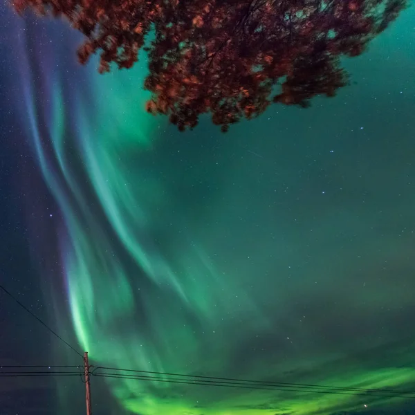 Polarlichter Polarlichter Polarlichter Polarlichter Polarlichter Nordstern Skandinavien Norwegens Tromso Bäuerlichen — Stockfoto