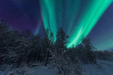 İskandinavya Norveç Tromso çiftlik kış orman kar dağlarda kutup kutup kuzey ışıkları aurora borealis gökyüzü yıldız 