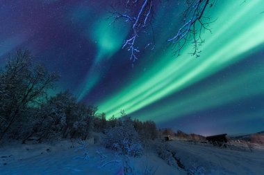 İskandinavya Norveç Tromso çiftlik kış orman kar dağlarda kutup kutup kuzey ışıkları aurora borealis gökyüzü yıldız 