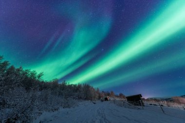 İskandinavya Norveç Tromso çiftlik kış orman kar dağlarda kutup kutup kuzey ışıkları aurora borealis gökyüzü yıldız 