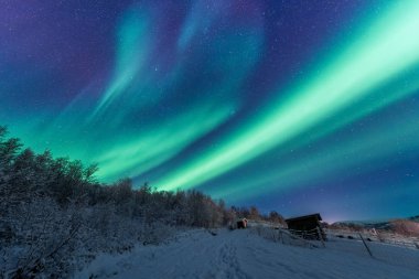 İskandinavya Norveç Tromso çiftlik kış orman kar dağlarda kutup kutup kuzey ışıkları aurora borealis gökyüzü yıldız 