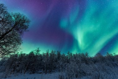İskandinavya Norveç Tromso çiftlik kış orman kar dağlarda kutup kutup kuzey ışıkları aurora borealis gökyüzü yıldız 