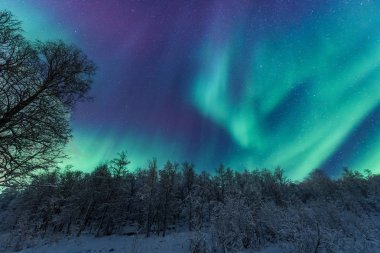İskandinavya Norveç Tromso çiftlik kış orman kar dağlarda kutup kutup kuzey ışıkları aurora borealis gökyüzü yıldız 