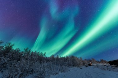 İskandinavya Norveç Tromso çiftlik kış orman kar dağlarda kutup kutup kuzey ışıkları aurora borealis gökyüzü yıldız 