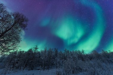 İskandinavya Norveç Tromso çiftlik kış orman kar dağlarda kutup kutup kuzey ışıkları aurora borealis gökyüzü yıldız 