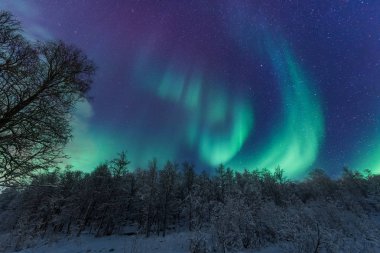 İskandinavya Norveç Tromso çiftlik kış orman kar dağlarda kutup kutup kuzey ışıkları aurora borealis gökyüzü yıldız 