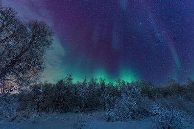İskandinavya Norveç Tromso çiftlik kış orman kar dağlarda kutup kutup kuzey ışıkları aurora borealis gökyüzü yıldız 
