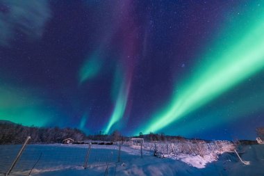 İskandinavya Norveç Tromso çiftlik kış orman kar dağlarda kutup kutup kuzey ışıkları aurora borealis gökyüzü yıldız 