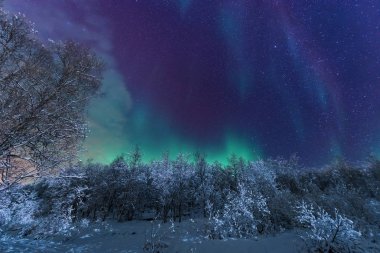 İskandinavya Norveç Tromso çiftlik kış orman kar dağlarda kutup kutup kuzey ışıkları aurora borealis gökyüzü yıldız 