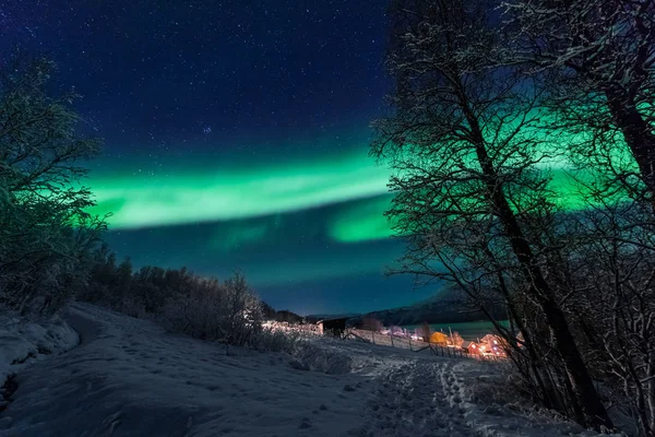 ファーム冬森雪の山に北欧ノルウェー トロムソの北極北極のオーロラ オーロラ空星 — ストック写真