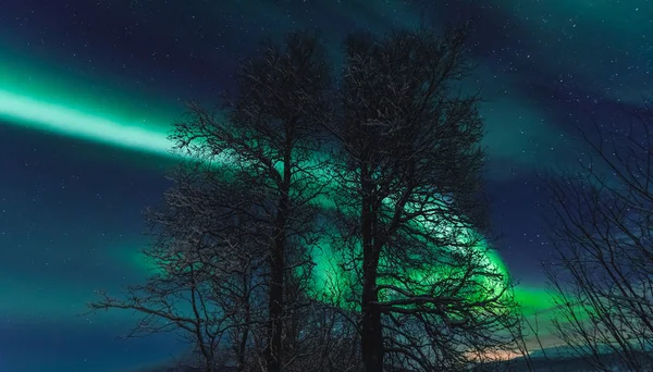 极地北极北极光极光天空之星在斯堪的那维亚挪威特罗姆瑟在农场冬季森林雪山 — 图库照片
