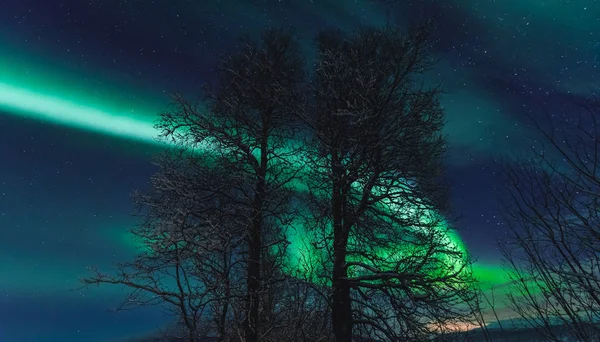 ファーム冬森雪の山に北欧ノルウェー トロムソの北極北極のオーロラ オーロラ空星 — ストック写真