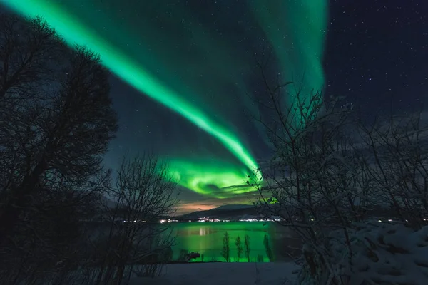 Polarnych Arktycznych Zorza Polarna Zorza Polarna Niebo Gwiazda Skandynawia Norwegia — Zdjęcie stockowe