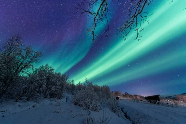 极地北极北极光极光天空之星在斯堪的那维亚挪威特罗姆瑟在农场冬季森林雪山 — 图库照片