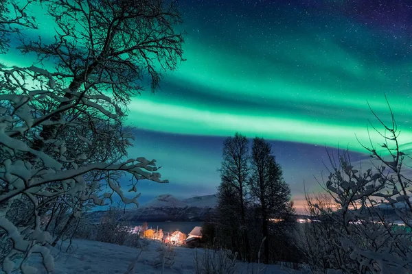 ファーム冬森雪の山に北欧ノルウェー トロムソの北極北極のオーロラ オーロラ空星 — ストック写真