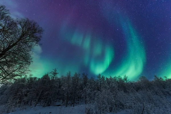 Las Luces Polares Árticas Del Norte Aurora Boreal Cielo Estrella —  Fotos de Stock