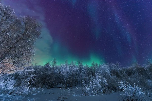 Ártico Polar Luzes Norte Aurora Borealis Céu Estrela Escandinávia Noruega — Fotografia de Stock