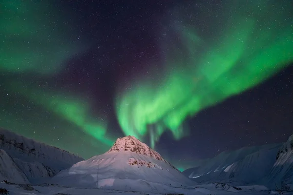 Polar Arktiska Norrsken Aurora Borealis Sky Stjärnan Norge Resa Svalbard — Stockfoto