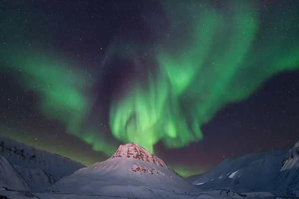 Αστέρι Του Ουρανού Aurora Borealis Πολικό Αρκτικό Βόρειο Σέλας Στη — Φωτογραφία Αρχείου