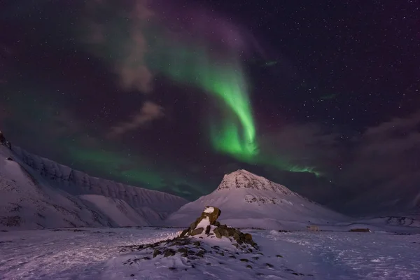 Polar Arctische Noorderlicht Aurora Borealis Sky Star Noorwegen Reizen Svalbard — Stockfoto