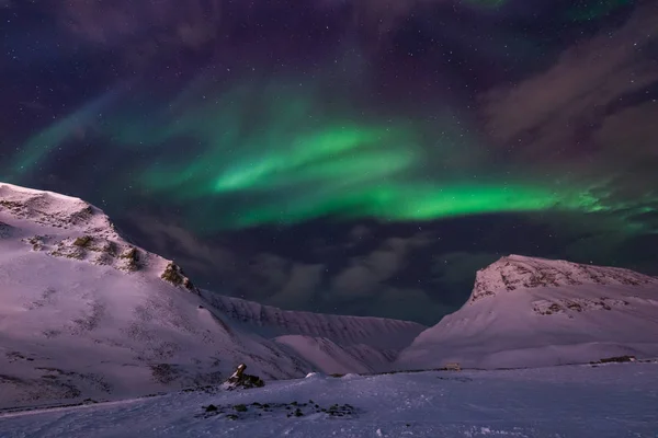Les Aurores Boréales Aurores Boréales Ciel Étoilé Norvège Voyage Svalbard — Photo