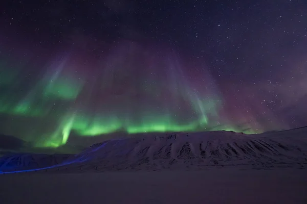 Polar Arktiska Norrsken Aurora Borealis Sky Stjärnan Norge Resa Svalbard — Stockfoto