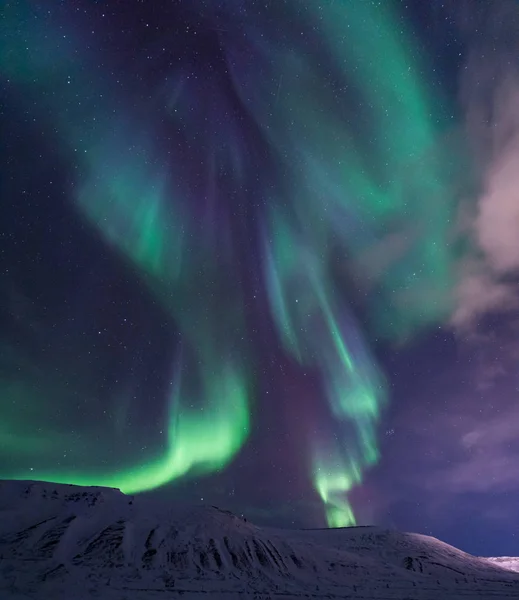 Polar Arktiska Norrsken Aurora Borealis Sky Stjärnan Norge Resa Svalbard — Stockfoto