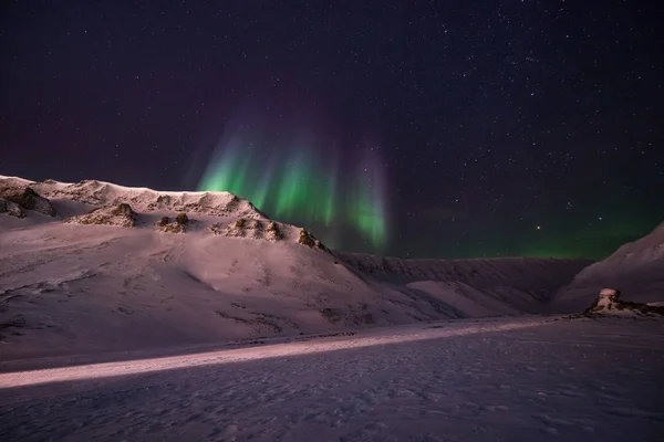 Les Aurores Boréales Aurores Boréales Ciel Étoilé Norvège Voyage Svalbard — Photo