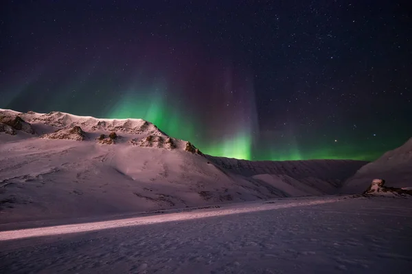 Les Aurores Boréales Aurores Boréales Ciel Étoilé Norvège Voyage Svalbard — Photo