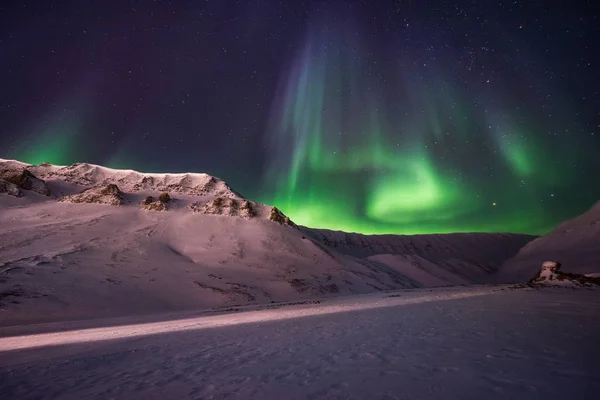 Les Aurores Boréales Aurores Boréales Ciel Étoilé Norvège Voyage Svalbard — Photo