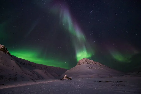 Polar Arktiska Norrsken Aurora Borealis Sky Stjärnan Norge Resa Svalbard — Stockfoto