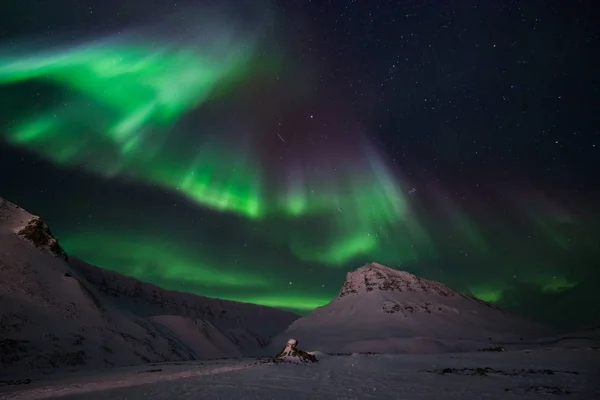 Polar Arctic Northern Lights Aurora Borealis Sky Star Norway Travel — Stock Photo, Image