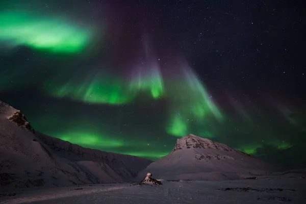 Artico Polare Aurora Boreale Cielo Stella Norvegia Viaggio Svalbard Longyearbyen — Foto Stock