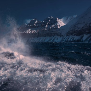  Norveç manzara doğa beyaz ayı buzulun Spitsbergen Longyearbyen Svalbard kutup kış kutup ışığı gün gökyüzünün bir buz parçası üzerinde