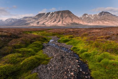 Wallpaper Norway landscape nature of the mountains of Spitsbergen Longyearbyen Svalbard   on a flowers polar day with arctic summer in the sunset  clipart