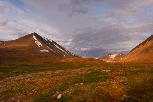 夕暮れ時の北極の夏と花の極地の日にスピッツベルゲンロングイヤーズバールの山々のノルウェーの風景の自然 — ストック写真