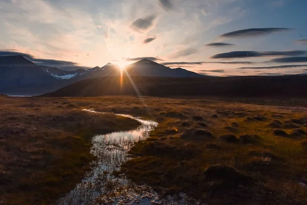 夕暮れ時の北極の夏と花の極地の日にスピッツベルゲンロングイヤーズバールの山々のノルウェーの風景の自然 — ストック写真