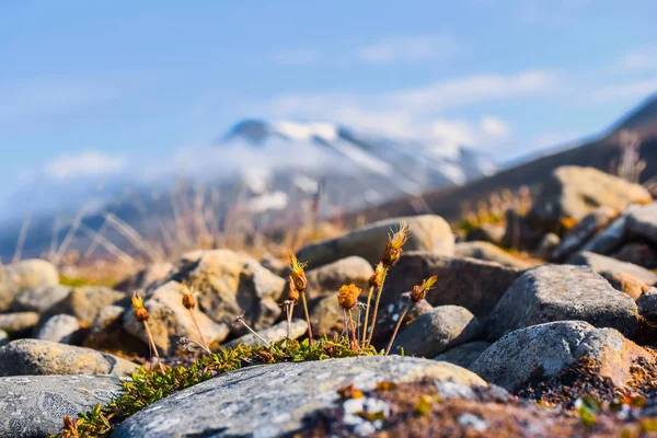 Wallpaper Noorwegen Landschap Natuur Van Bergen Van Spitsbergen Longyearbyen Svalbard — Stockfoto