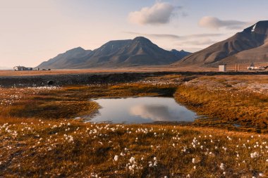 Wallpaper norway landscape nature of the mountains of Spitsbergen Longyearbyen Svalbard   on a flowers polar day with arctic summer in the sunset  clipart