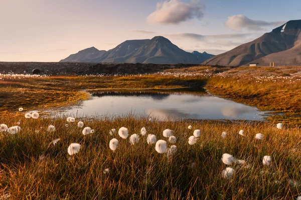 Papel Parede Noruega Paisagem Natureza Das Montanhas Spitsbergen Longyearbyen Svalbard — Fotografia de Stock