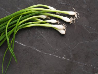 Demet taze soğan ampuller gri mermer zemin ile. Yüksek çözünürlüklü fotoğraf