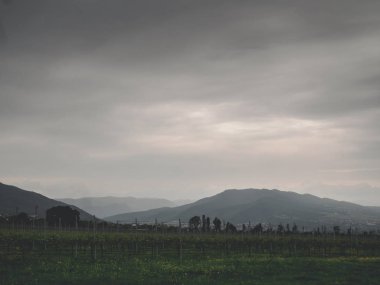 Gürcü bağcılık, bulutlu gün, Kaheti peyzaj