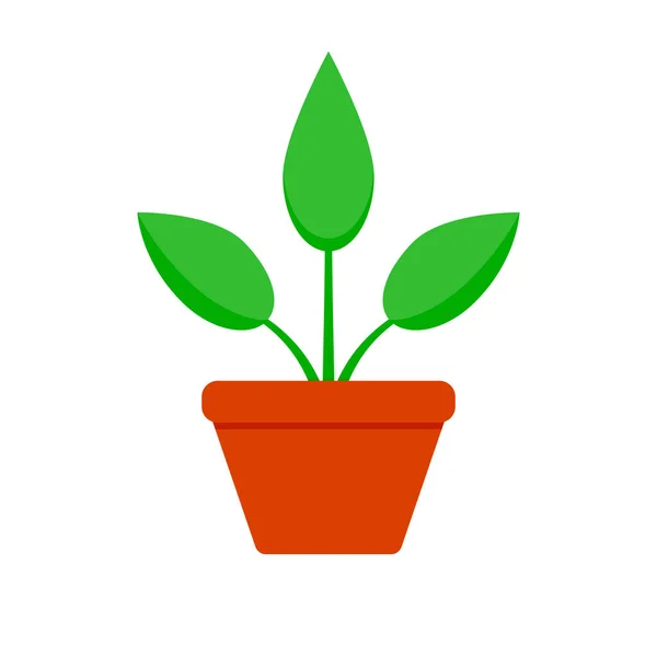 Inicio Planta Con Hoja Verde Inicio Maceta Aislada Ilustración Vectorial — Vector de stock
