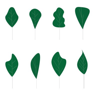 Yeşil düz ağaç koleksiyonu, soyut çiçek formu. Ağaç bitkisi ekosu, yaprak çevresi, orman çiçekleri, botanik ve ekolojik ağaçlar. Vektör illüstrasyonu
