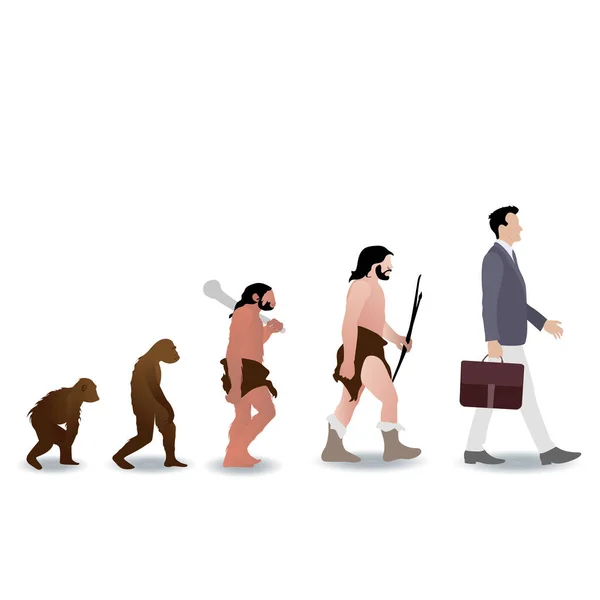 Human Evolution Ape Businessman Vector Monkey Prehistoric Ape Caveman Grow — Stock Vector