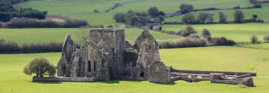 İrlanda 'nın yemyeşil kırsalındaki antik ortaçağ manastırının manzarası. Tarihsel taş duvarlar ve kemerler, Gotik mimariyi ve kırsal İrlanda 'daki yüzyıllık kültür mirasını yansıtıyor..