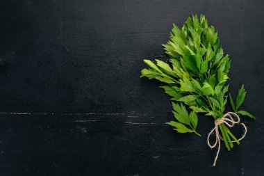 Kereviz yaprakları. Ahşap bir arka plan üzerinde. Üstten Görünüm. Kopya alanı.