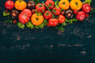 Ürün yelpazesine renkli taze domates. Siyah ahşap arka plan üzerinde. Üstten Görünüm. Kopya alanı.